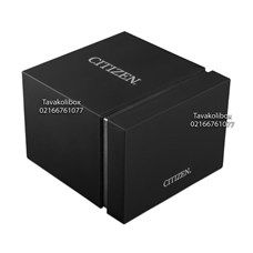 جعبه ساعت اورجینال سیتیزن مشکی نقره‌ای مدل : TW-3059